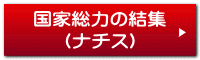 国家総力の結集 （ナチス） 