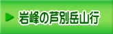 岩峰の芦別岳山行