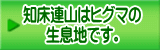 知床連山はヒグマの 生息地です。