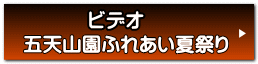 ビデオ 