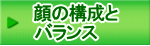 顔の構成と バランス