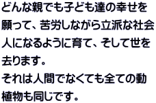 どんな親でも子ども達の幸せを 願って、苦労しながら立派な社会 人になるように育て、そして世を 去ります。 それは人間でなくても全ての動 植物も同じです。