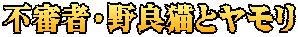 不審者・野良猫とヤモリ