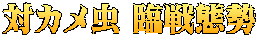 対カメ虫 臨戦態勢