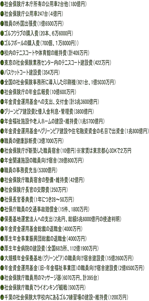 ●社会保険庁本庁所有の公用車2台他（180億円） ●社会保険庁公用車247台（４億円） ●職員の外国出張費（1億6500万円） ●ゴルフクラブの購入費（20本、６万6000円） ●ゴルフボールの購入費（700個、１万8000円）） ●校内のテニスコートや体育館の維持費（計409万円） ●東京の社会保険業務センター内のテニスコート建設費（422万円） ●バスケットコート建設費（354万円） ●全国の社会保険事務所に導入した印刷機（921台、1億5030万円） ●社会保険庁の年金広報費（10億600万円） ●年金資金運用基金への支出、交付金（計3兆3600億円） ●グリーンピア建設費と借入金利息・管理費（3800億円） ●年金福祉施設や老人ホームの建設・維持費（1兆5700億円） ●年金資金運用基金へグリーンピア建設や住宅融資資金の名目で出資金（1兆800億円） ●職員の健康診断費（3億7000万円） ●社会保険庁が新築した職員宿舎（10億円）※家賃は東京都心3DKで２万円 ●年金関連施設の職員向け宿舎（28億800万円） ●職員の事務費充当（5300億円） ●社会保険庁職員宿舎の整備・維持費（42億円） ●社会保険庁長官の交際費（250万円） ●社保長官香典費（1年につき28～50万円） ●社保庁職員の交通事故賠償金（15件、1800万円） ●保養基地運営法人への支出（2兆円、総額5兆6000億円の使途判明） ●年金資金運用基金総裁の退職金（4000万円） ●厚生年金事業振興団総裁の退職金（4000万円） ●厚生年金病院の建設費（全国68カ所、112億1900万円） ●大規模年金保養基地（グリーンピア）の職員向け宿舎建設費（15億2600万円） ●年金資金運用基金（旧・年金福祉事業団）の職員向け宿舎建設費（2億6500万円） ●社会保険庁職員用のマッサージ器（6070万円、計395台） ●社会保険庁職員でライオンキング観戦（500万円） ●千葉の社会保険大学校内にあるゴルフ練習場の建設・維持費（1200万円）