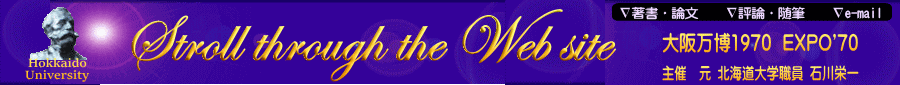 Stroll through the Web site