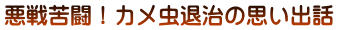 悪戦苦闘！カメ虫退治の思い出話