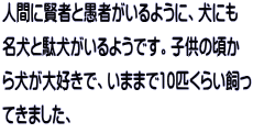 人間に賢者と愚者がいるように、犬にも 名犬と駄犬がいるようです。子供の頃か ら犬が大好きで、いままで10匹くらい飼っ てきました、