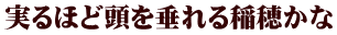 実るほど頭を垂れる稲穂かな