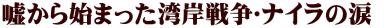 嘘から始まった湾岸戦争〜ナイラの涙 